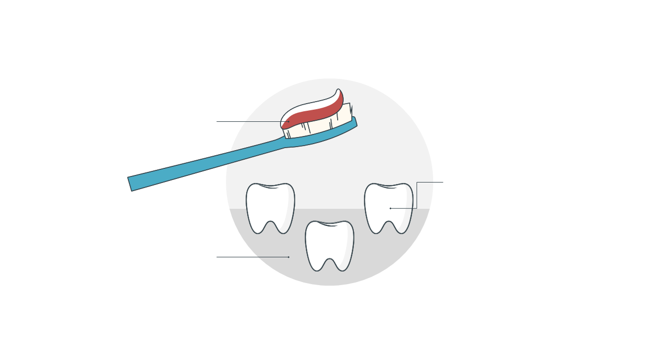 Annotated Toothbrush and Teeth for Dental Education