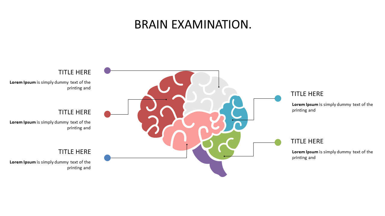 Annotated Brain Diagram for Neurological Insights