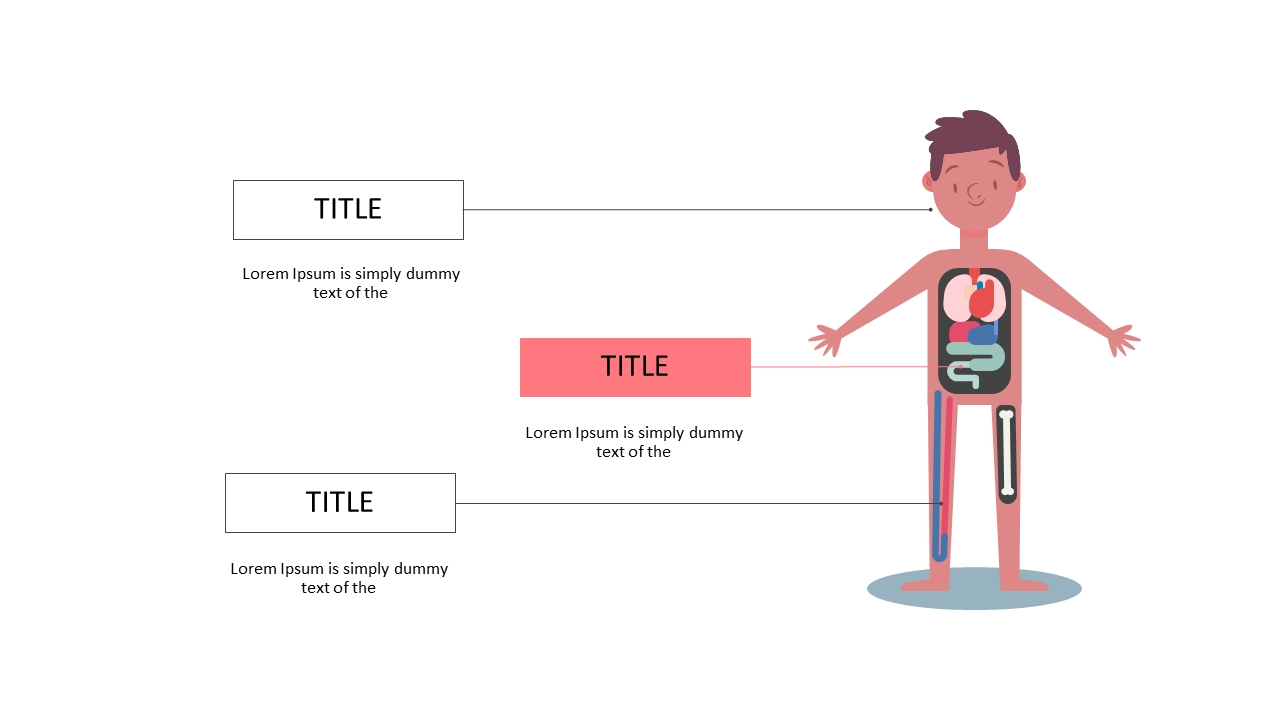 Present Organ Systems with Infographic Layout
