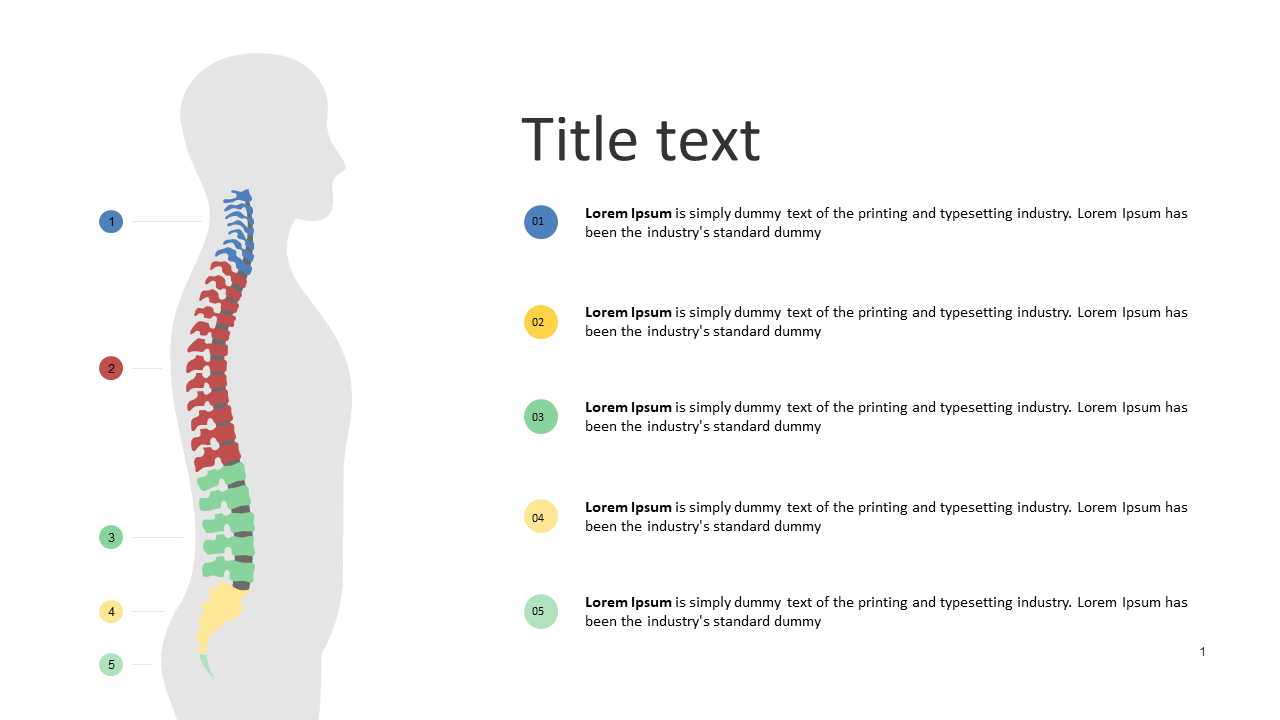Present Human Anatomy with Spine Infographic