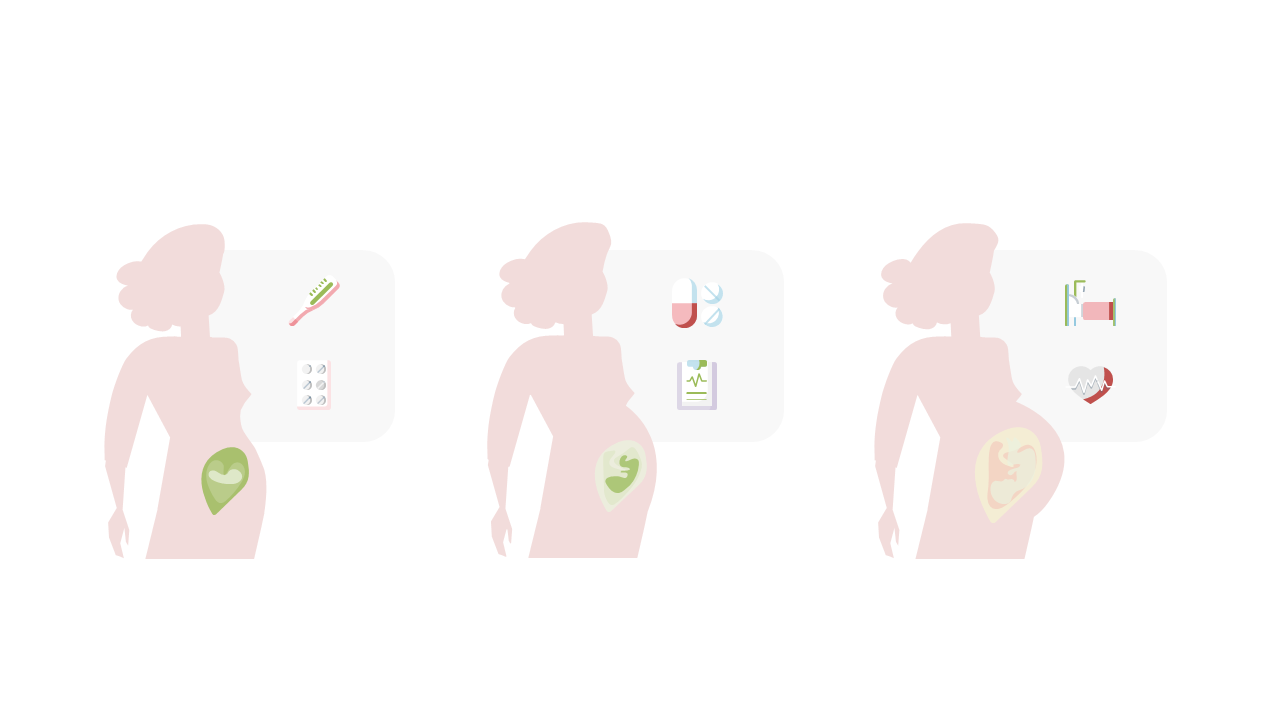Visualize Pregnancy Stages and Health Milestones