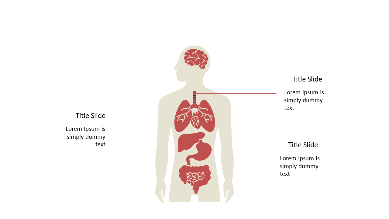 Present Anatomical Information with Diagram