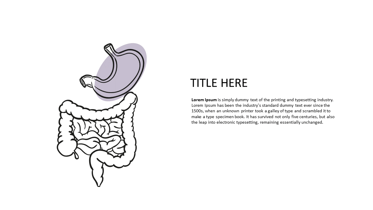 Explain Anatomy with Detailed Illustration Layout