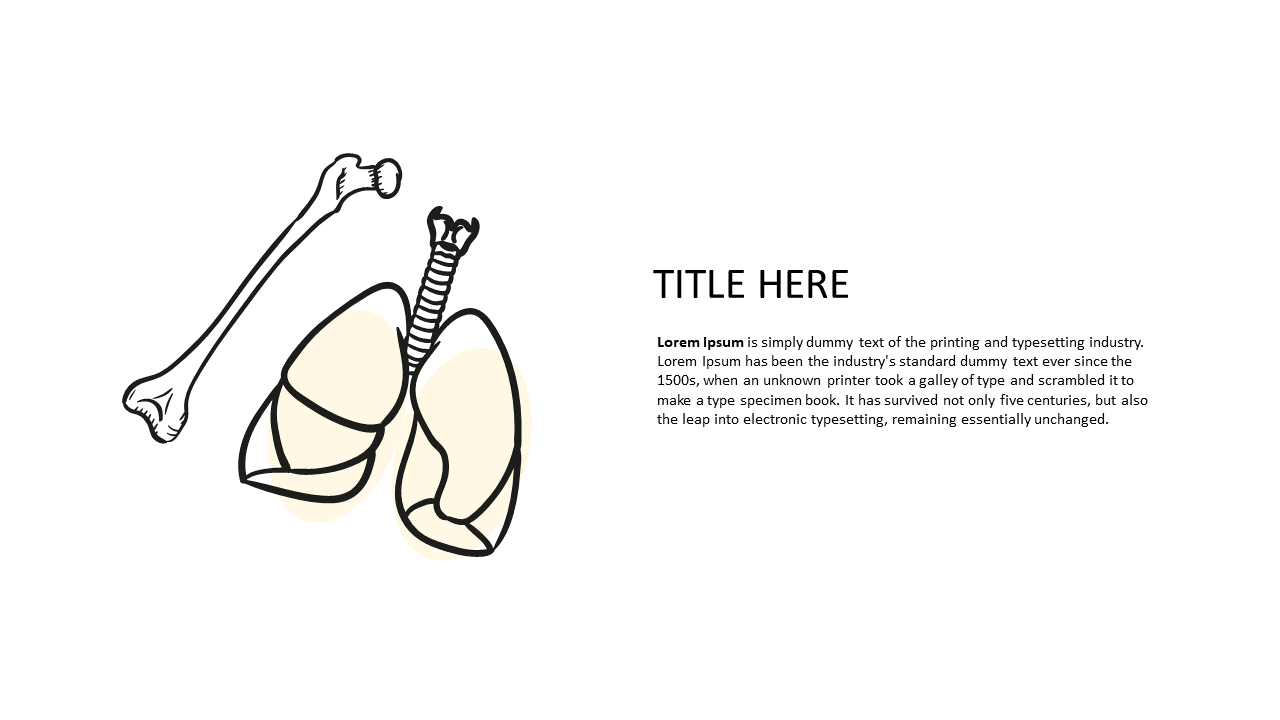 Explore Skeletal and Respiratory Anatomy Illustrations