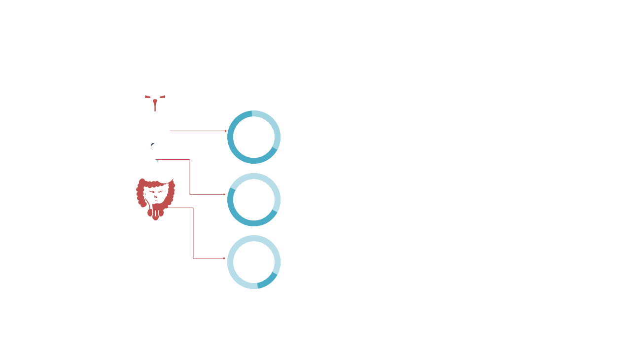 Illustrate Sequential Steps with Circular Process Flow