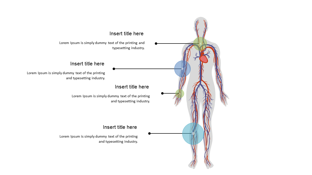 Present Anatomy with Human Body Diagram