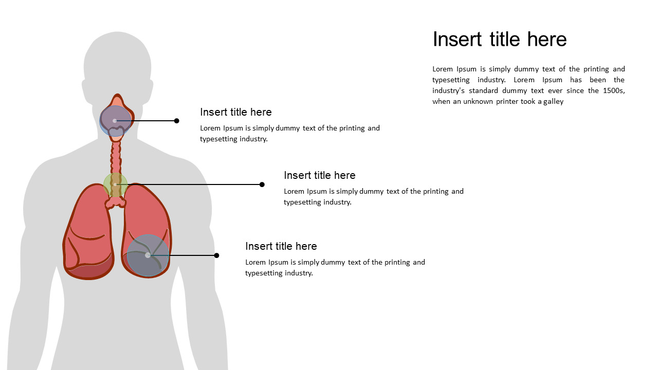 Communicate Anatomy with Labeled Diagram