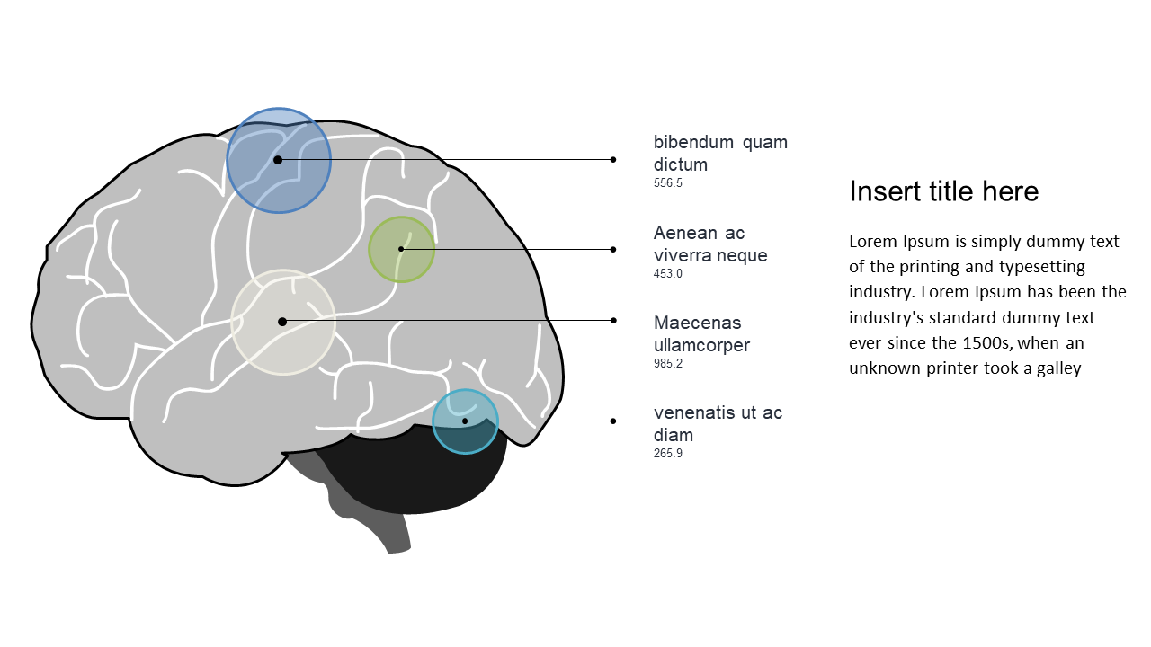 Detail Brain Functions with Annotated Diagram