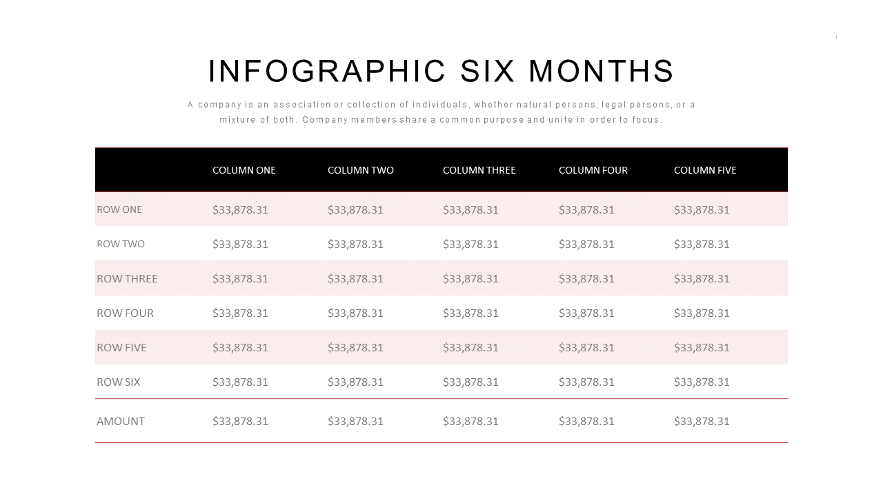 Financial Overview with Infographic Table