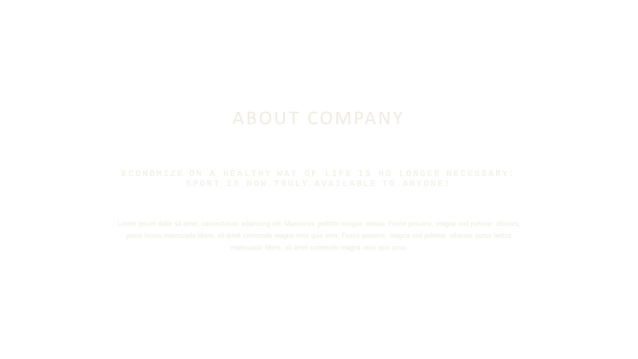 Professional Company Introduction Slide