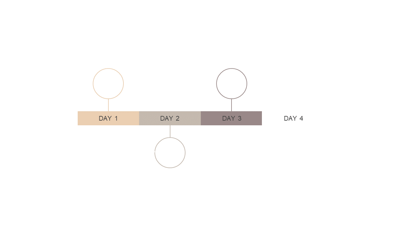 Track Progress with 4-Step Circular Timeline