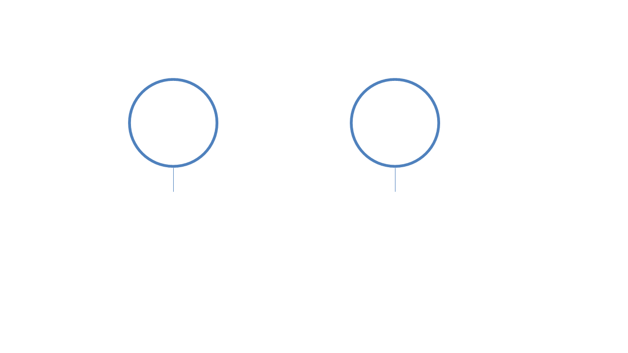 Side-by-Side Circular Comparison for Business Insights