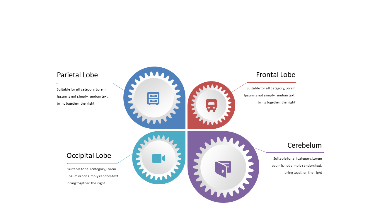 Explore Brain Regions with Gears Diagram