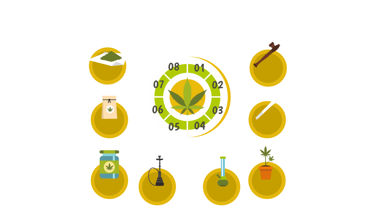Illustrate Cannabis Lifecycle with Circular Diagram