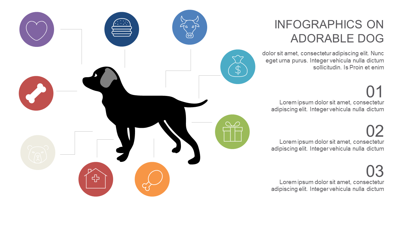 Engaging Dog Infographic for Pet Presentations