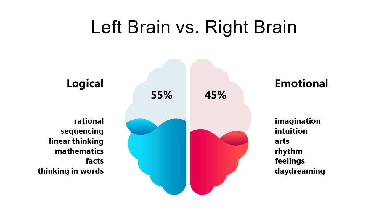Compare Left vs Right Brain Functions Visually