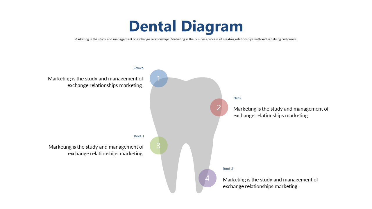 Dental Structure with Marketing Insights Diagram