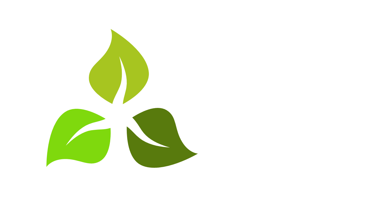 Enhance Sustainability Messaging with a Leaf Logo Design