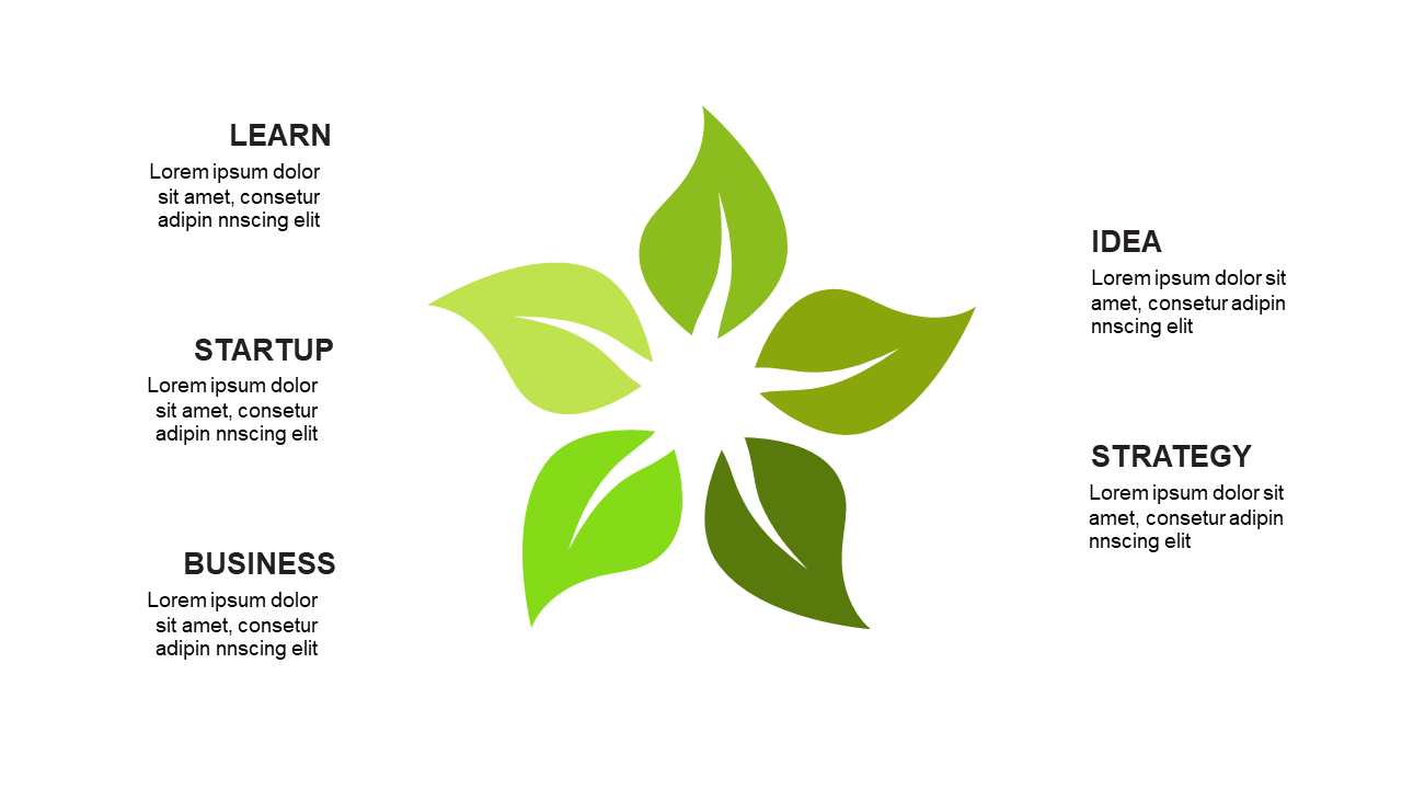 Showcase Four Concepts with Leaf-Shaped Diagram