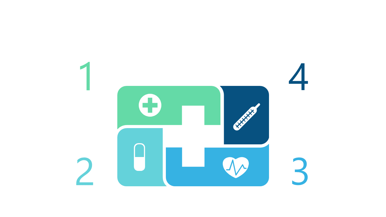 Present Healthcare Services with Iconic Steps