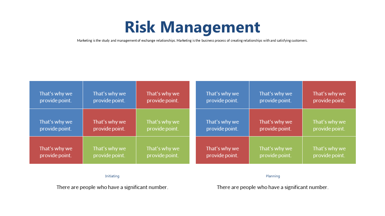 Outline Key Risk Management Points in Matrix Format